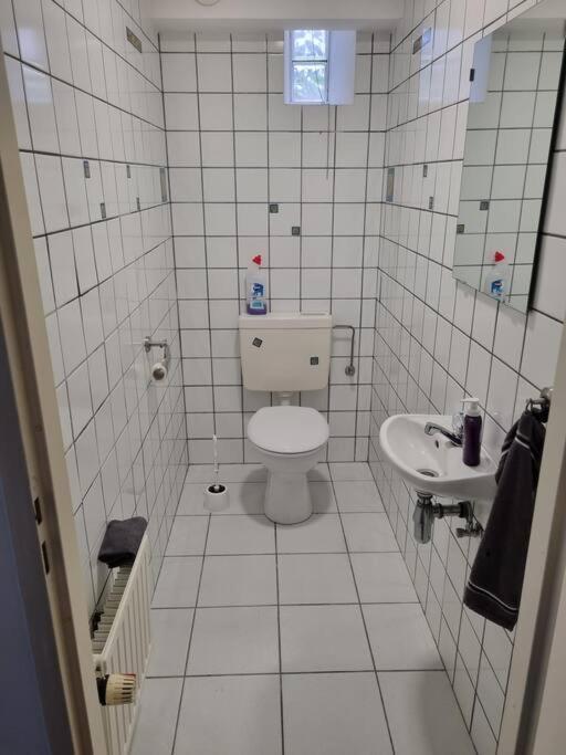 Gemuetliche Oase - Geraeumige Unterkunft Sarreguemines Kültér fotó
